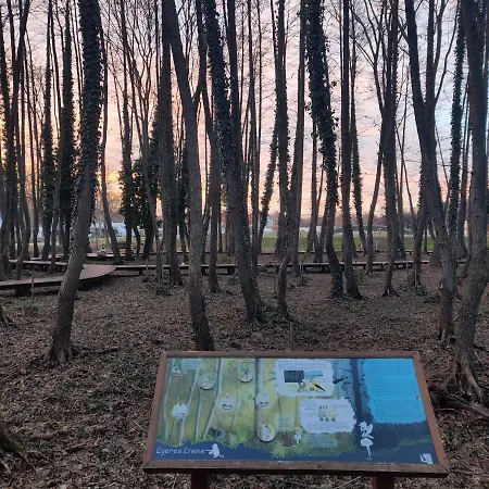 Orchidea Wellness 3* Zalakaros