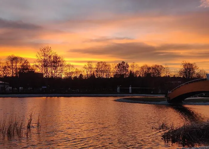 Orchidea Wellness זלקרוס