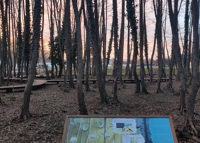 Orchidea Wellness 3* Zalakaros